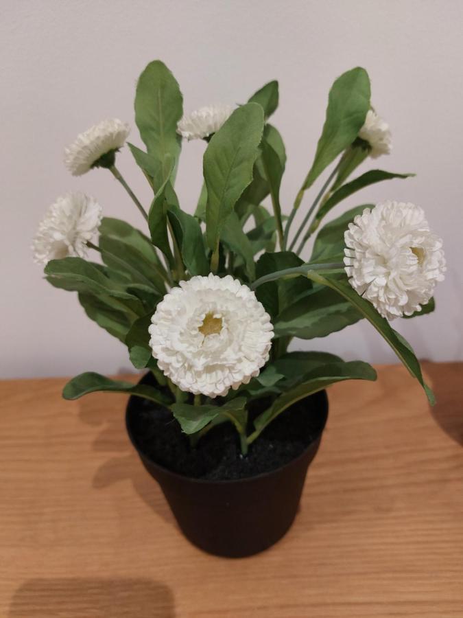 Cosy North Kensington Family Apartment For 4 Persons - Children Stay Free 런던 객실 사진